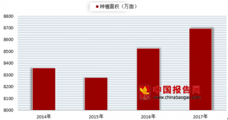 崇礼滞销土豆进京销售一空 浅析我国土豆产销情况发展趋势