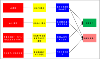 2018年中国靶向药物市场销售现状及未来前景分析