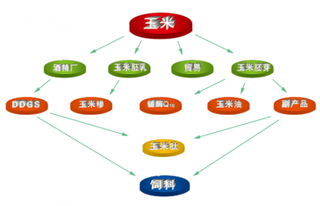 2018年我国玉米行业总消费量不断增加 未来前景广阔