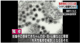 日本风疹大爆发已超2千人感染 近年全球疫苗市场规模增长迅速