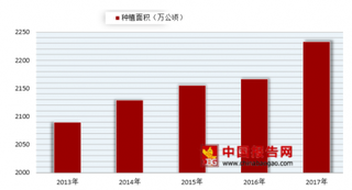 北方过冬蔬菜价格创近5年新低 浅析我国蔬菜行业发展