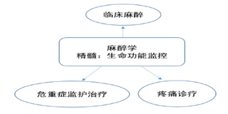 多公司澄清芬太尼未出口美国 我国麻醉药市场空间较大