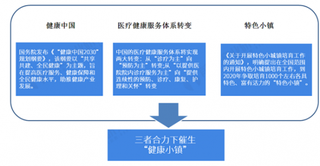 2018年中国医疗健康小镇发展状况：未来健康养老小镇发展前景广阔