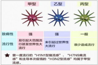 流感袭击法国致9人死亡 流感疫苗有望迎来大爆发