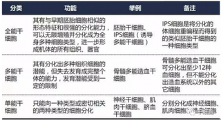 细胞生物学发布《人胚胎干细胞》标准 我国干细胞医疗行业市场潜力大