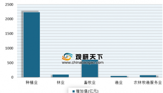 2018年黑龙江农林牧渔业增加值增长3.8% 近年来我国农林牧渔总产值不断增长