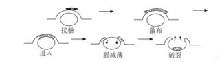 消泡剂下游需求快速增长，有机硅消泡剂市场规模不断增加