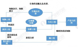 2019年中国生物科技行业发展状况：政策支持生物医药行业规模将进一步扩大