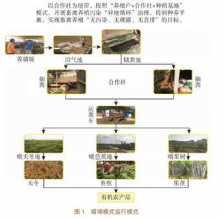 加快畜禽养殖废弃物处理和资源化——广西玉林市福绵区“截污建池、收运还田” 整区推进粪污资源化利用