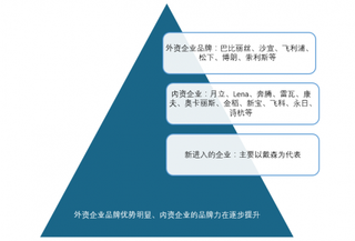 标准T/CHEAA0008-2019《卷/直发器》发布 我国卷/直发器市场进一步规范化