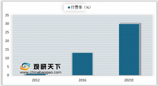 2019年我国在线视频发展前景：用户规模增速放缓 会员付费市场潜力可观