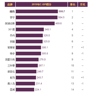 2019年我国运动服装品牌力指数排名情况