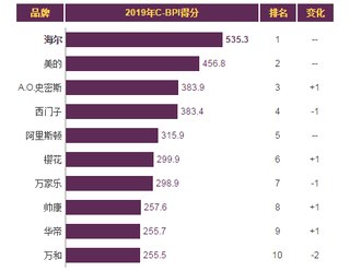 2019年我国电热水器品牌力指数排名情况