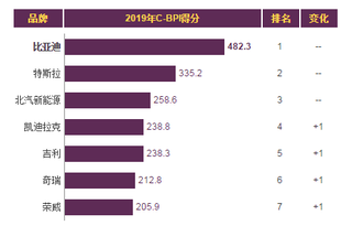 2019年我国新能源汽车品牌力指数排名情况