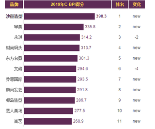 2019年我国美容美发连锁店品牌力指数排名情况