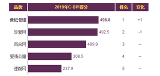 2019年我国婚恋网站品牌力指数排名情况