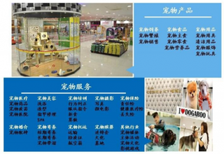 2019年我国宠物行业实现快速增长 其市场主要集中在华东以及华南地区