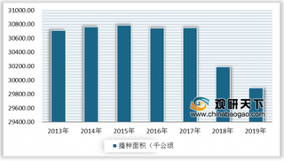 袁隆平团队双季稻亩产1365公斤 杂交水稻种子行情保持平稳增长