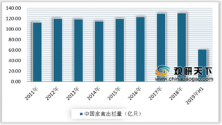 2019年中国家禽行业市场现状 禽类产品产量持续增长