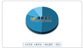 2019年我国家禽行业出口量额齐降 鸡肉禽为主要消费对象