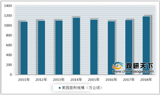 2020年中国哈密瓜行业政策助力发展 产量逐年小幅增长