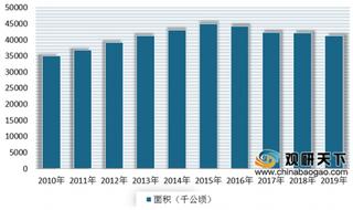 2020年我国玉米行业产量分析 市场呈现稳定 目前位居世界第二