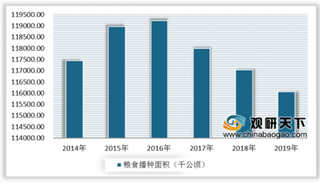 2019年中国粮食产量稳定增长 生产结构进一步优化