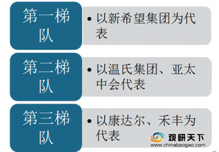 2020年我国饲料行业市场正处于由大到强转型升级期