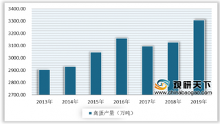 2020年中国家禽养殖行业发展向好 禽肉禽蛋产量双增长