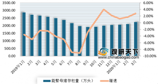 生猪养殖业正在有序恢复 我国猪肉价格已连续7周下降