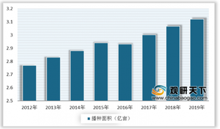 2019年我国蔬菜产量稳中有增 价格呈上涨趋势