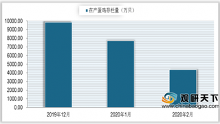 5月鸡蛋价格暴跌为3元/斤 蛋鸡存栏将创新高 行业或可利用期货规避风险