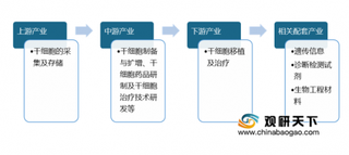 2020年我国干细胞治疗行业政策利好发展 市场规模将进一步扩大