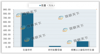 2020年吉林省各地积极推进生猪养殖工作 截至6月底生猪存栏任务已完成97%以上