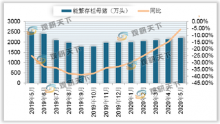 2020年5月我国能繁存栏母猪为2359万头，同比下降5.7%