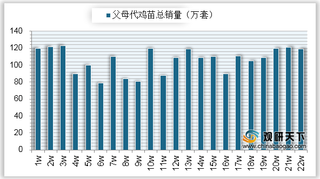 2020年6月我国商品、父母代鸡苗总销量环比情况统计