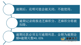 年轻人你的信用还好吗？一文看懂使用花呗、白条对个人征信的影响