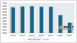 多个稻谷主产区出现洪灾 后市价格存在一定上涨空间 但相对有限