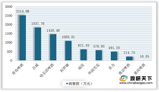 2020年7月我国啤酒行业线上销量稳健增长 青啤、百威保持领先