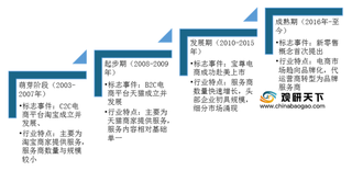 我国电商代运营行业主要服务平台为天猫 宝尊电商处于绝对领先地位