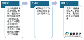 我国3D生物打印行业市场规模持续增长 相关专利申请量趋于趋降