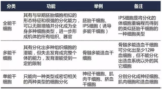 多重政策加持，我国干细胞行业进入快速发展阶段