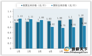 玉米还会上涨？国家回应当前价格是恢复性上涨预计后期将逐步趋稳