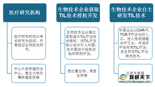 TIL疗法在实体瘤治疗领域表现优异 中国仍处于行业发展早期