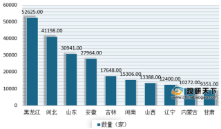 黑龙江是玉米种植第一大省 全行业超半数企业注册资本低于100万