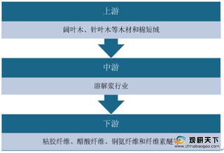 中国溶解浆行业发展现状：消费量不断增长 进口依赖程度高