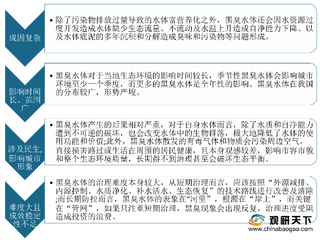 黑臭水体集中分布在长江经济带地区 政策监管下全国治理比重达80.6%