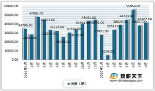 8月国内皮卡市场保持较强月度增长走势 自动挡皮卡销量占比稳定