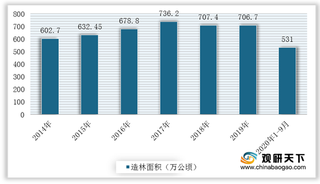 最新进度：中国已完成造林近八万亩 全年苗木使用量约为126亿株