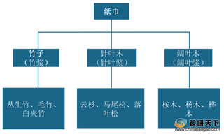 2019年我国纸巾人均年消费量呈增长态势 头部企业地位稳固